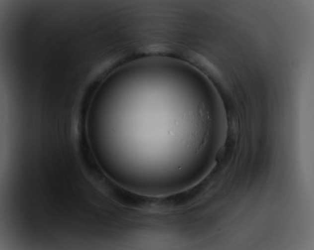 X0000095680732200801081228