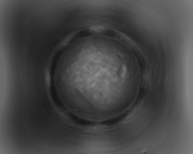 X0000095680734200801081228