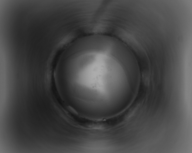 X0000095680735200801081228