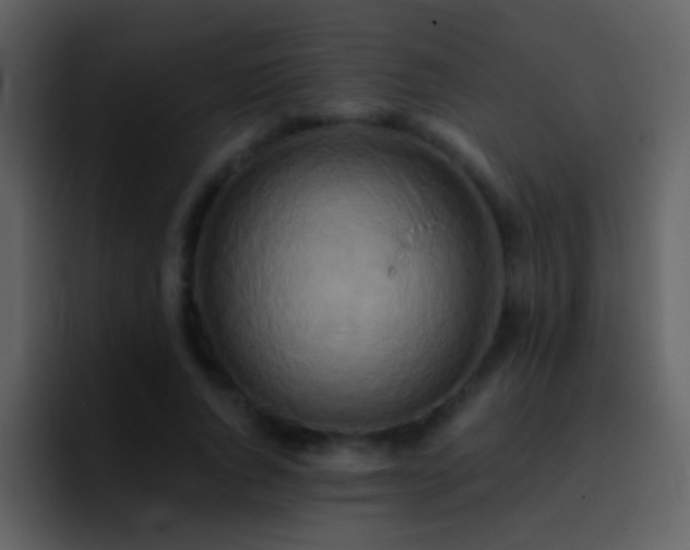 X0000095680736200801081228