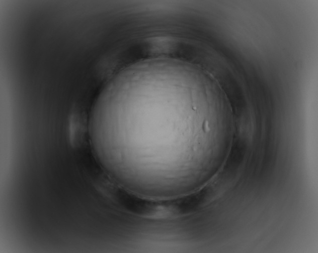 X0000095680737200801081228