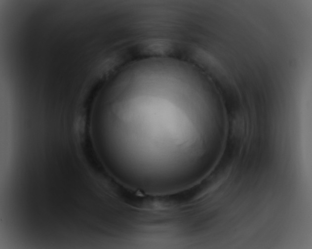 X0000095680739200801081228