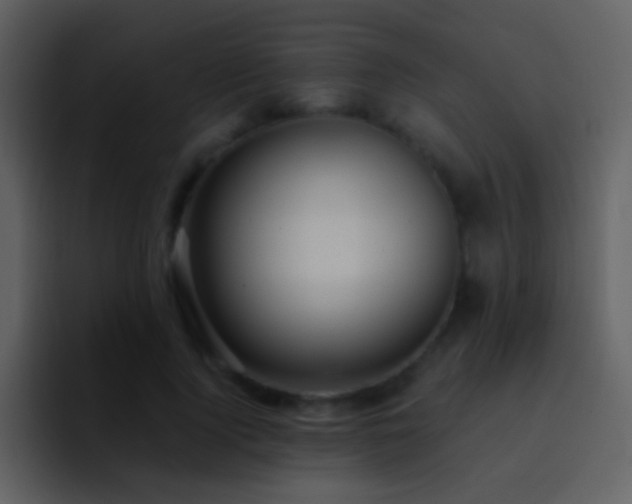 X0000095680740200801081228