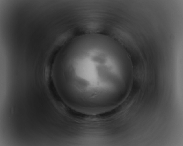 X0000095680742200801081228