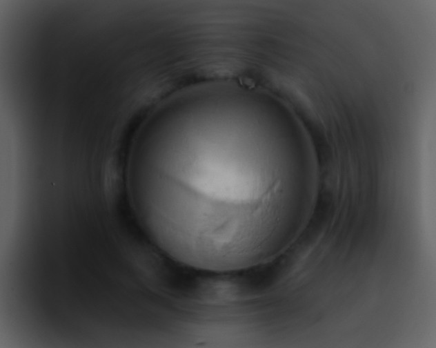 X0000095680743200801081228