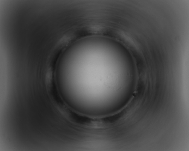 X0000095680744200801081228