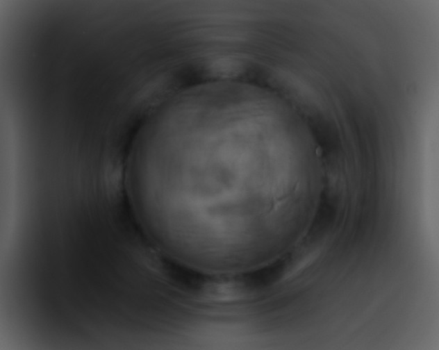 X0000095680745200801081228