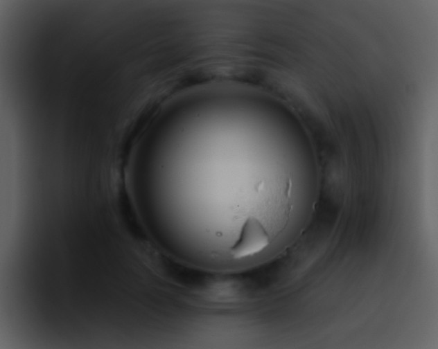 X0000095680746200801081228