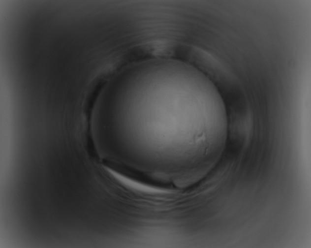 X0000095680748200801081228