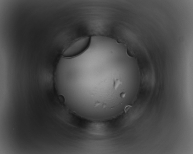 X0000095680749200801081228