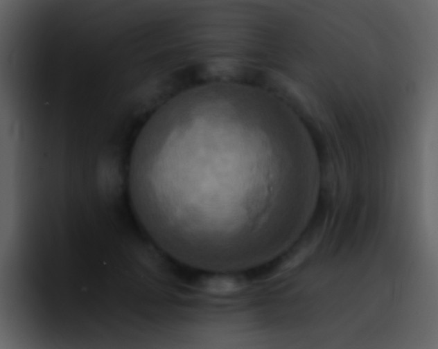 X0000095680751200801081228