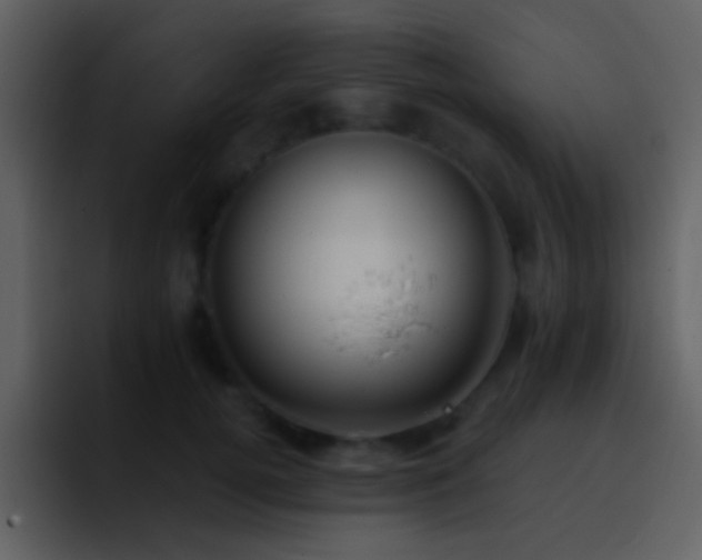 X0000095680752200801081228