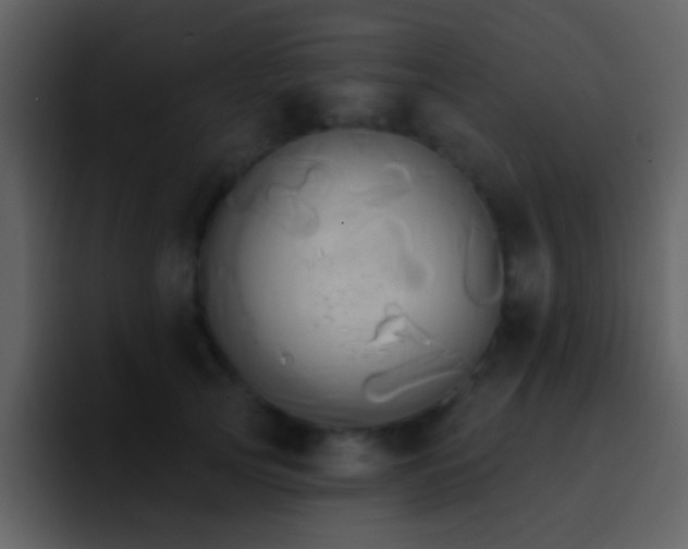X0000095680753200801081228
