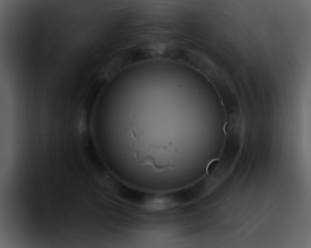 X0000095680754200801081228