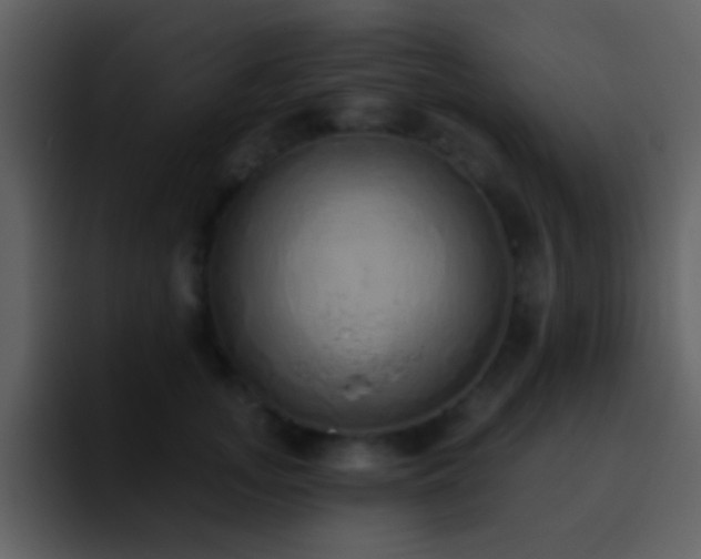 X0000095680755200801081228