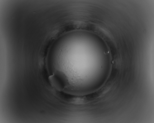X0000095680756200801081228