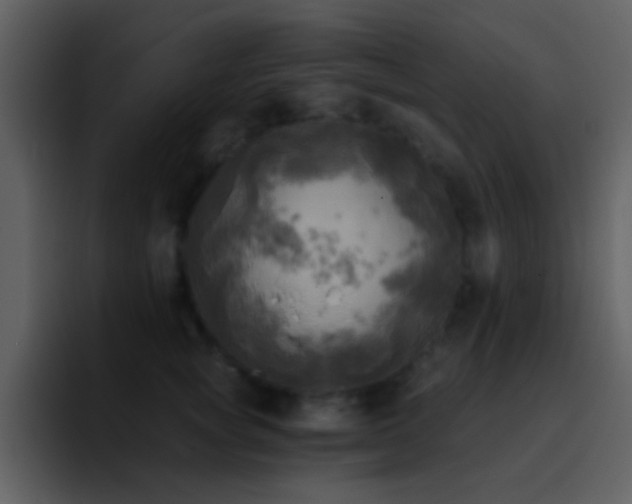 X0000095680757200801081228