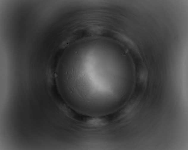X0000095680759200801081228