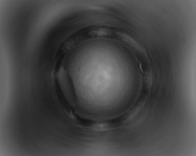 X0000095680760200801081229