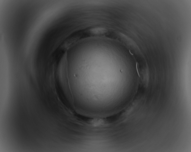 X0000095680762200801081229