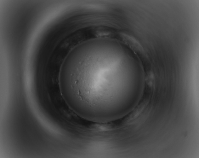 X0000095680763200801081229