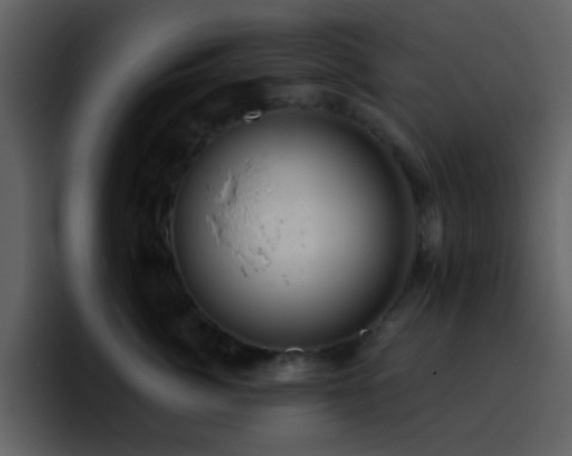 X0000095680764200801081229