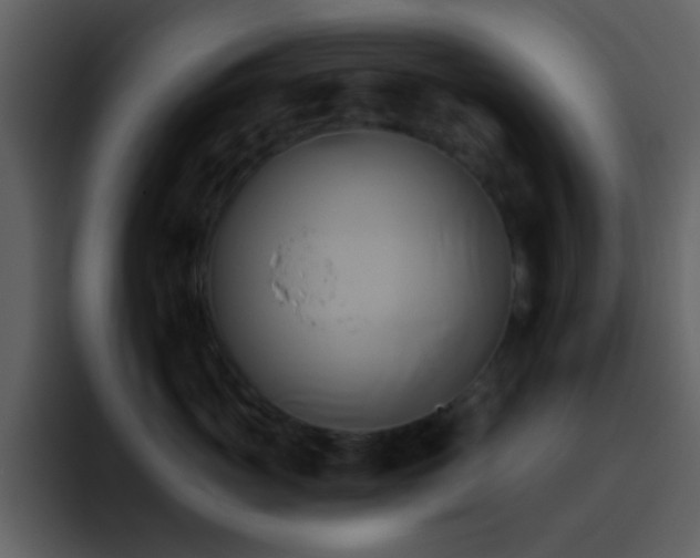 X0000095680765200801081229