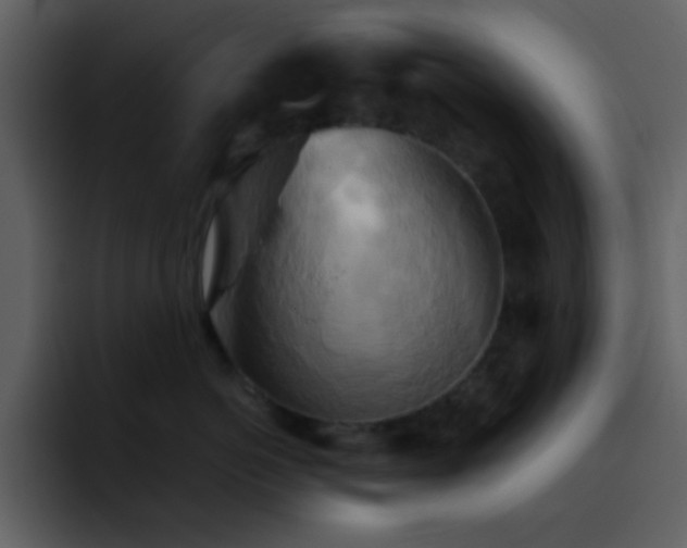 X0000095680766200801081229