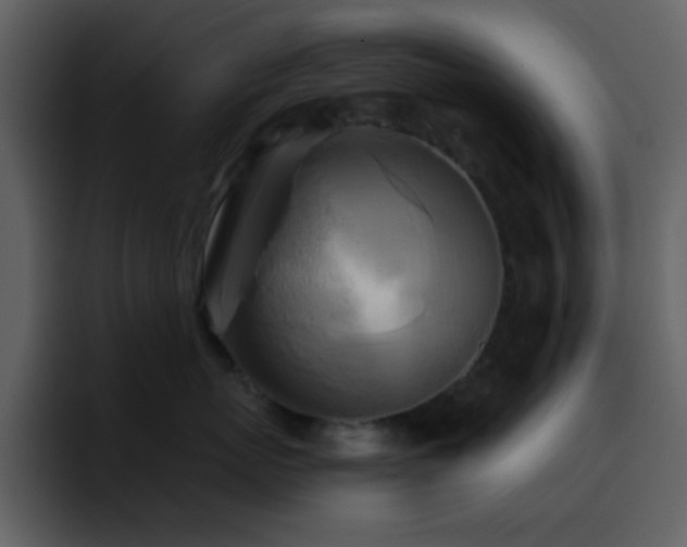 X0000095680767200801081229