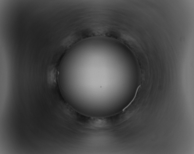 X0000095680768200801081229