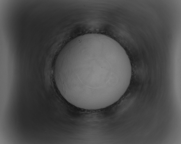 X0000095680769200801081228