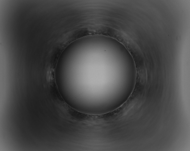 X0000095680770200801081228