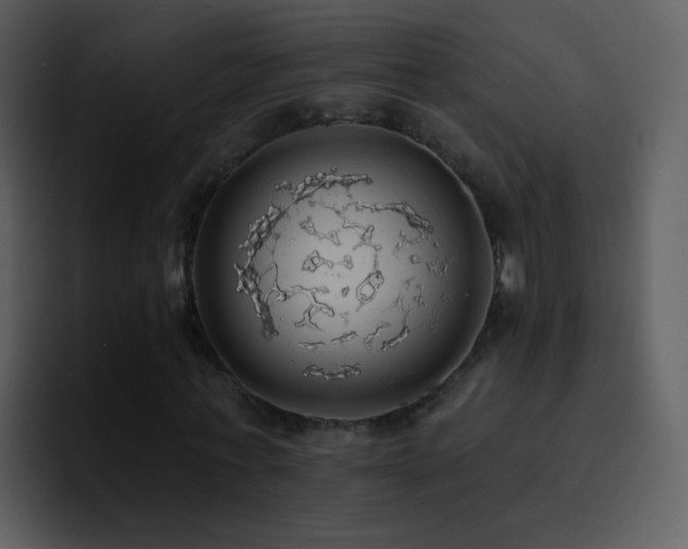 X0000095680771200801081228