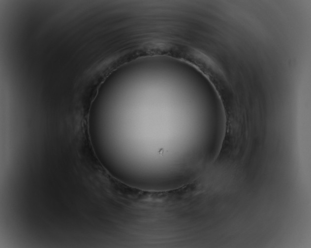 X0000095680773200801081228