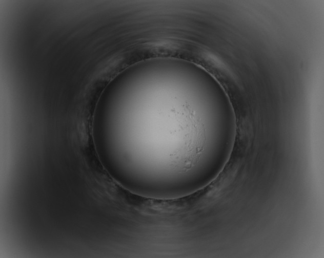 X0000095680774200801081228
