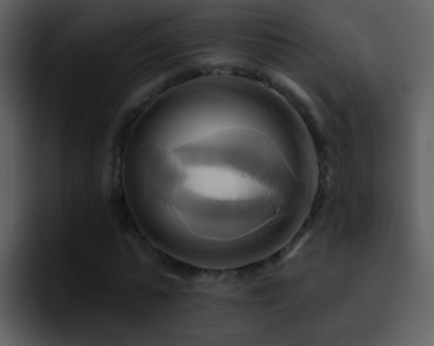X0000095680775200801081228