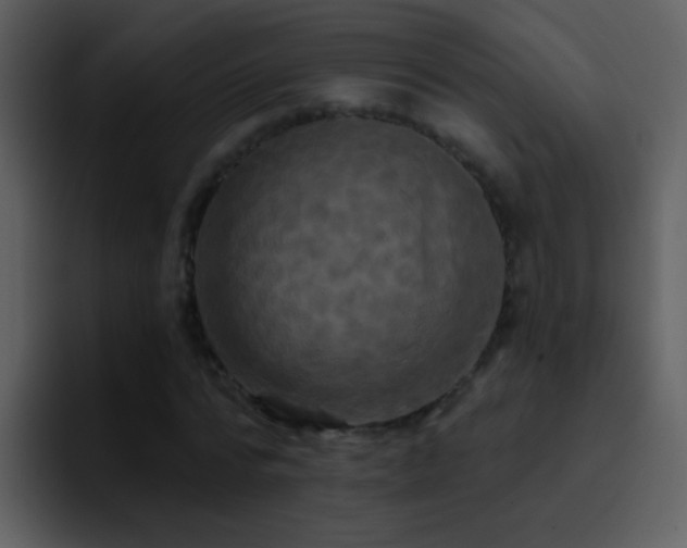 X0000095680776200801081228