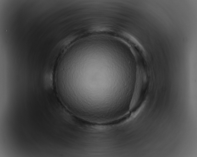 X0000095680777200801081228