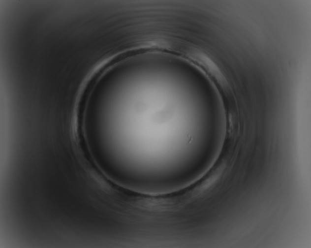 X0000095680780200801081228