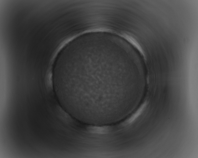 X0000095680781200801081228