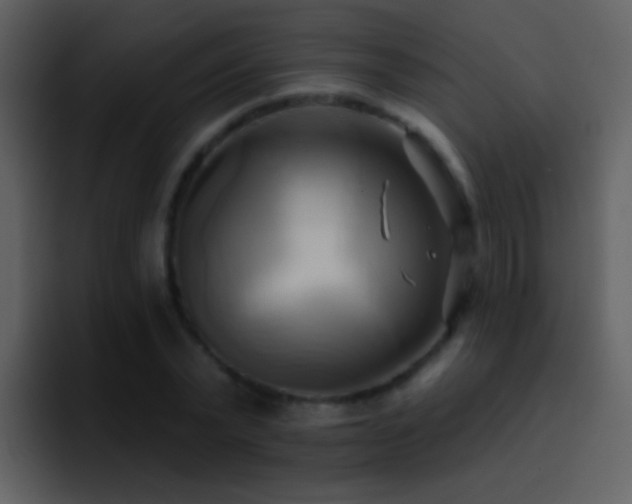 X0000095680783200801081228