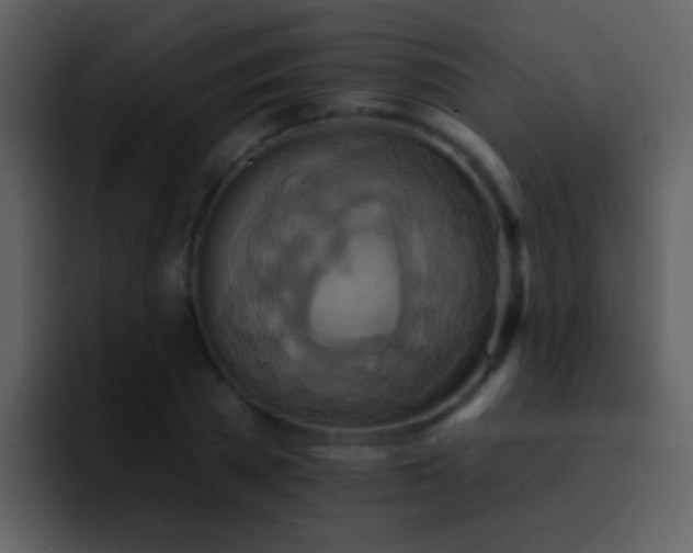 X0000095680785200801081228