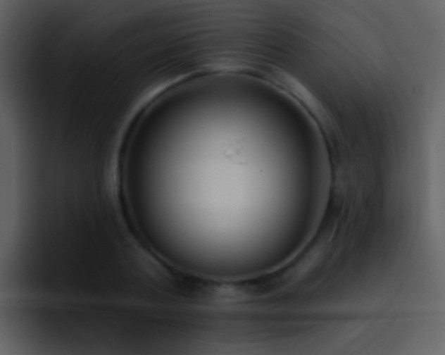 X0000095680787200801081228