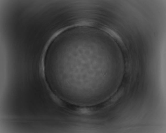 X0000095680792200801081228