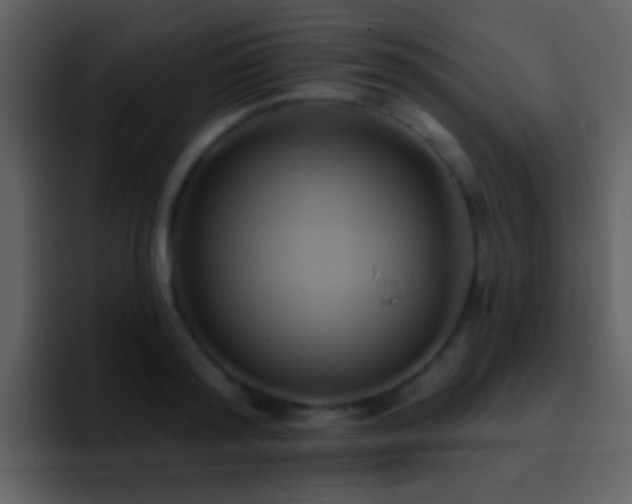 X0000095680796200801081228