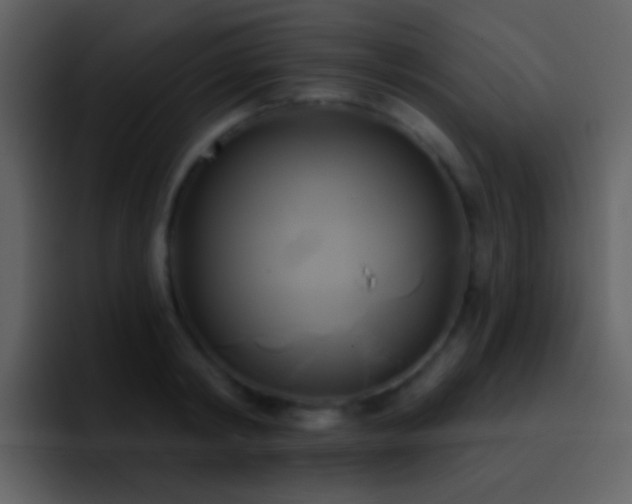 X0000095680798200801081228