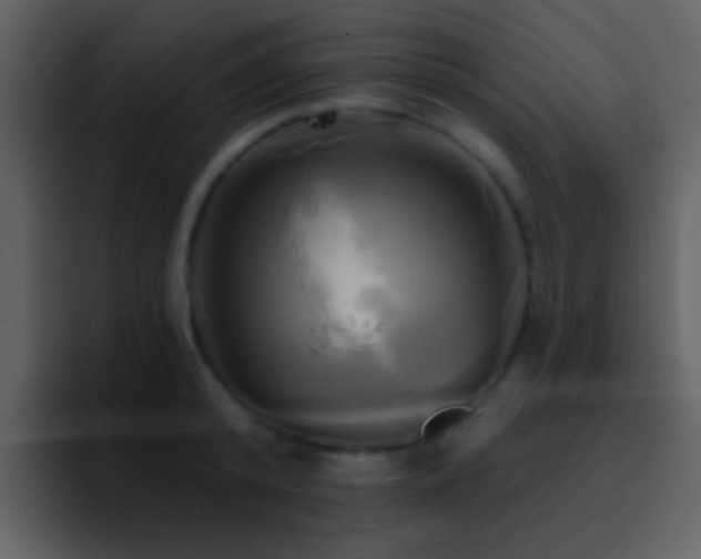 X0000095680800200801081228