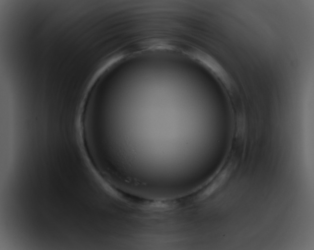 X0000095680806200801081228