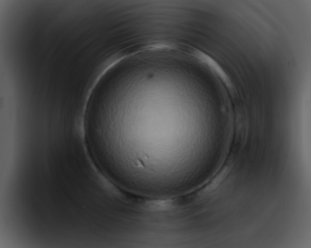 X0000095680810200801081227