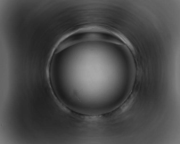 X0000095680813200801081227